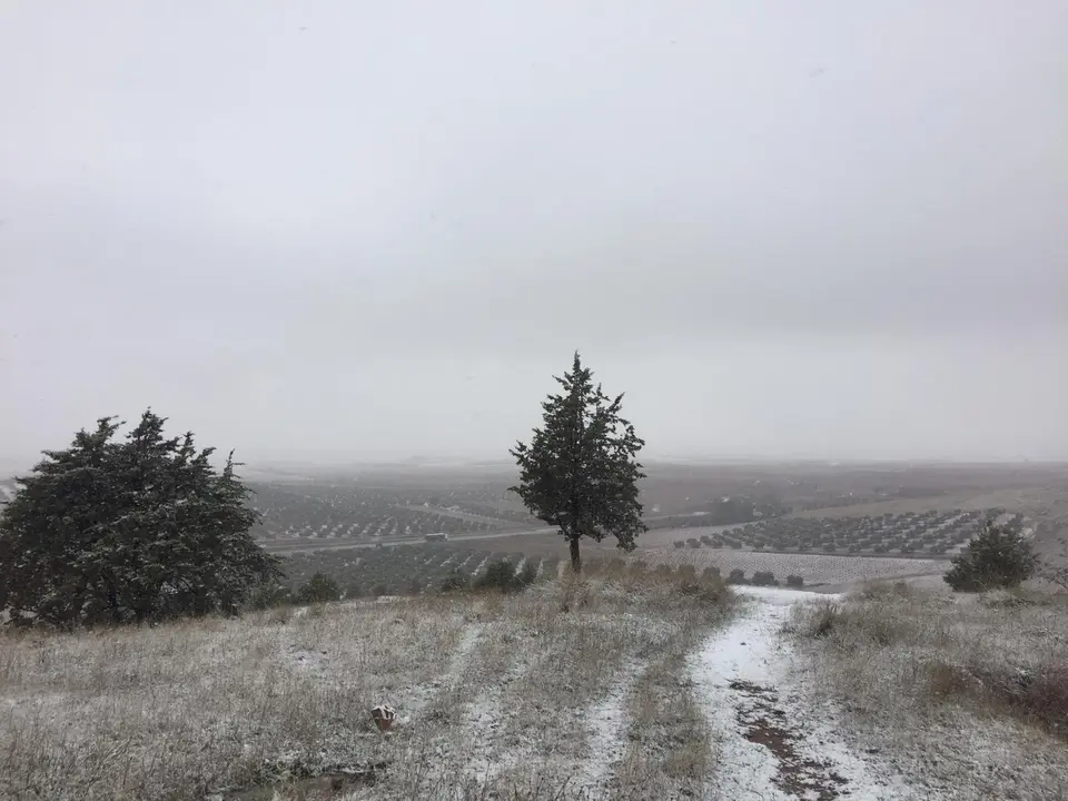 Cerro del Ángel

Foto: Elisa Palomar