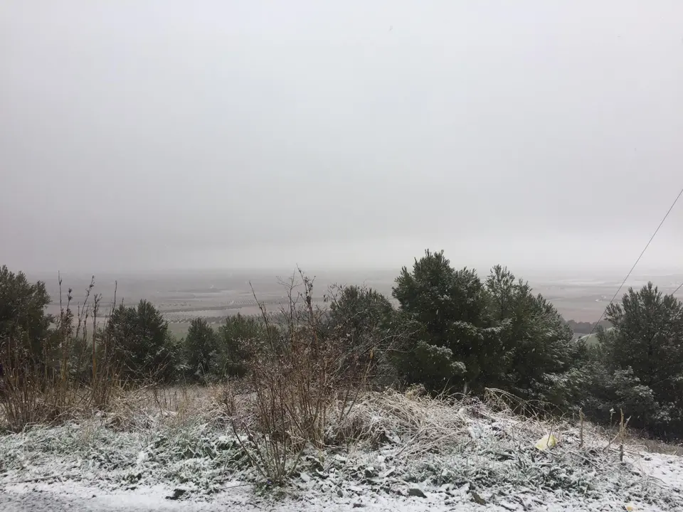 Cerro del Ángel

Foto: Elisa Palomar