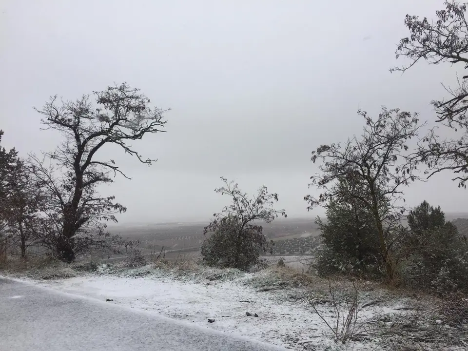 Cerro del Ángel

Foto: Elisa Palomar