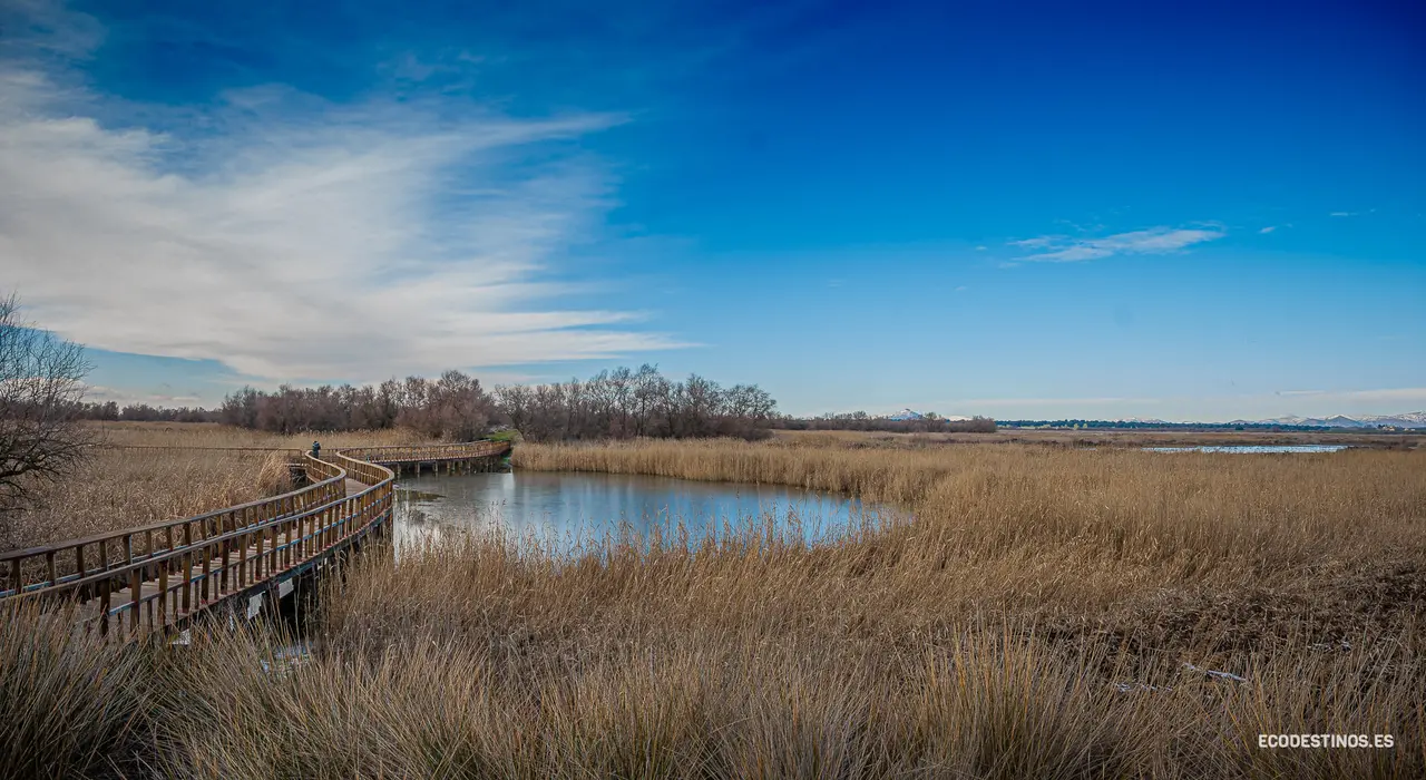 138310989_3816046085082339_464207235167388508_o