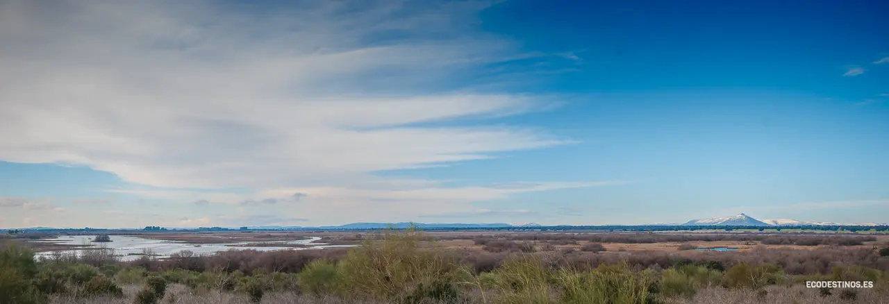 138187230_3816046045082343_5782582591790982056_o