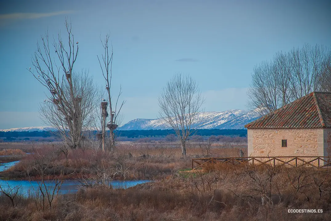 138306005_3816046028415678_5449552727663661537_o