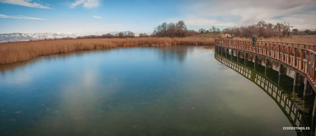 138381400_3816046155082332_1619742581944794598_o