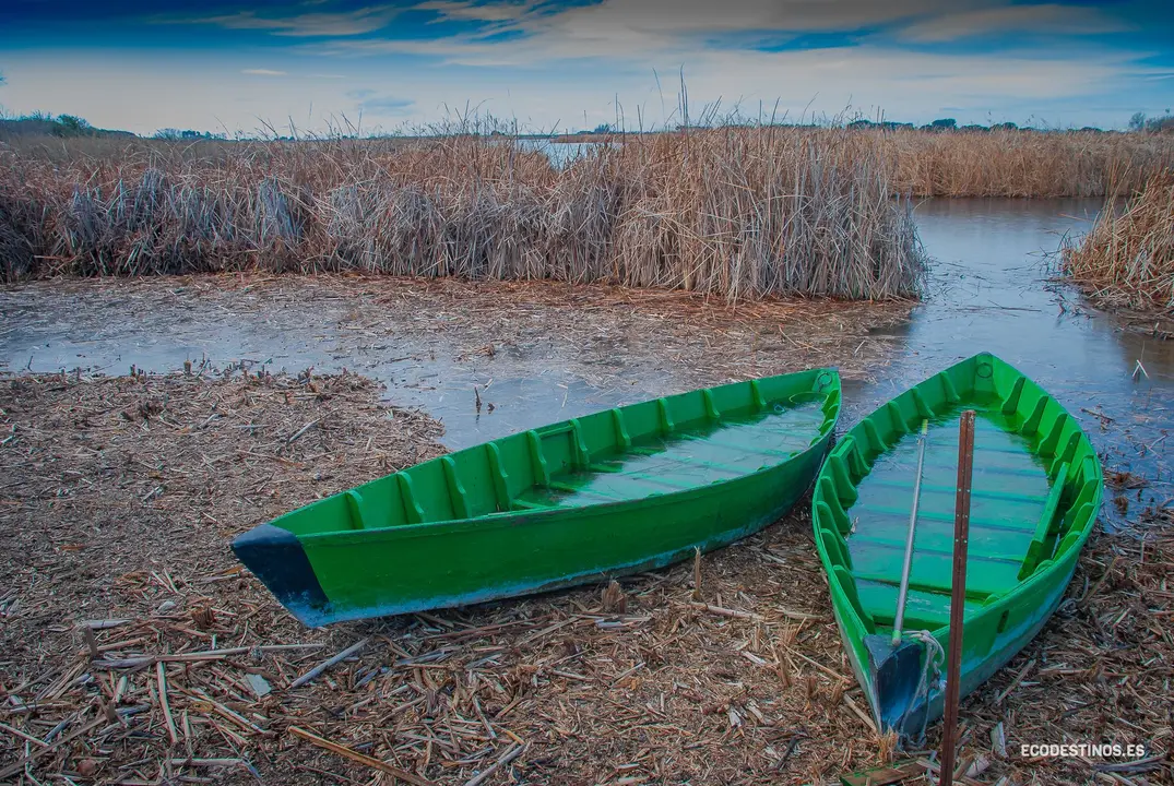 138354721_3816045821749032_6222181145925172015_o