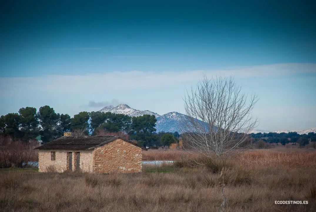 138319916_3816045765082371_3186639194540472507_o