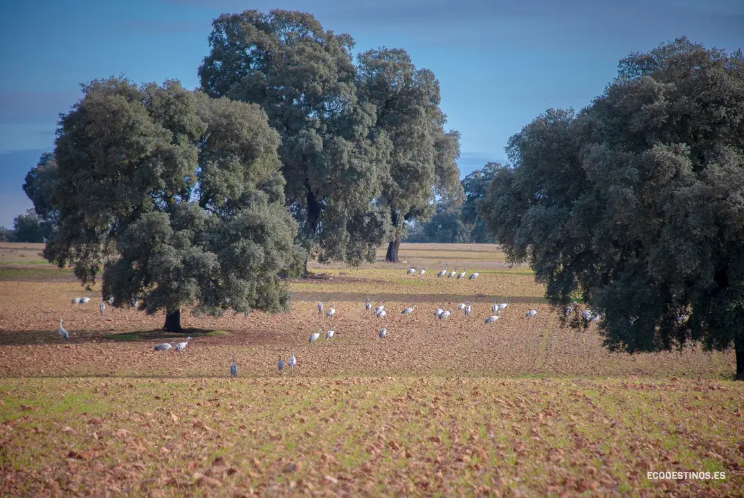 138237639_3816045545082393_7368566938966591992_o