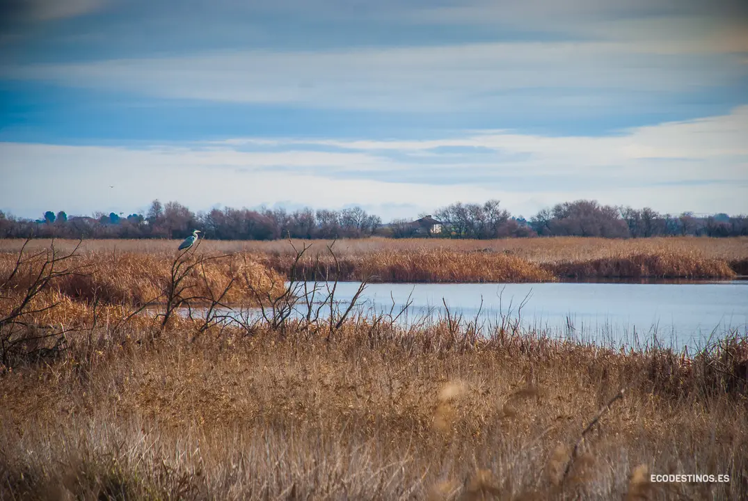 138291343_3816045521749062_8750891394530834768_o