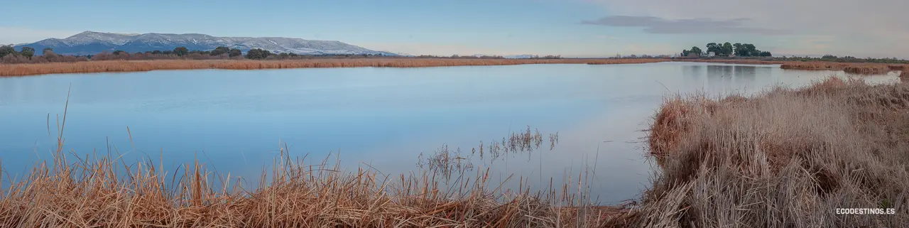 138534681_3816045678415713_7975514921373656028_o