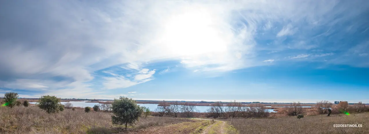 138388770_3816045471749067_7759140436842624233_o