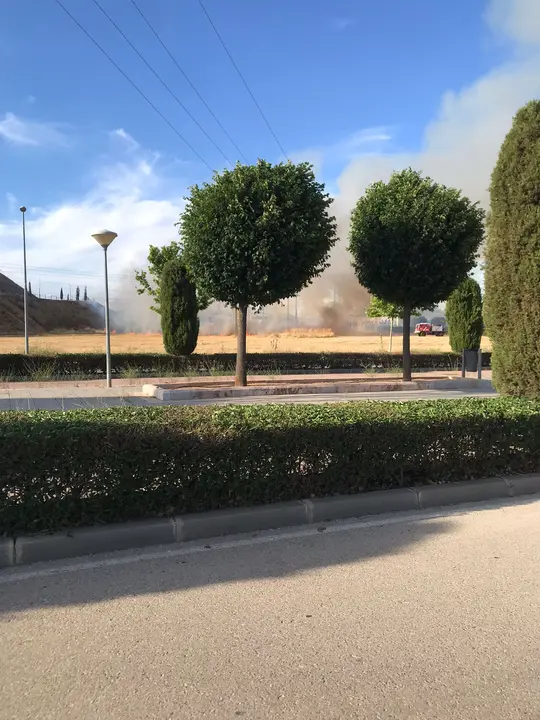 Incendio en la ladera del Mirador de la Venta el Aire