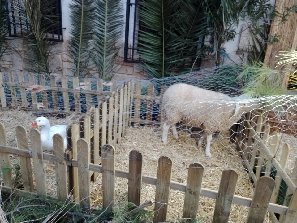 Bel&eacute;n Viviente de Moral de Calatrava 2025 (5)