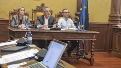 PLENO VALDEPEÑAS NOVIEMBRE