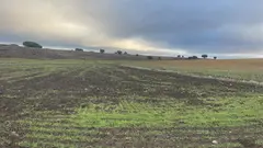 Da&ntilde;os en las explotaciones