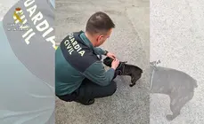 GUARDIA CIVIL CON CACHORRO INCAUTADO