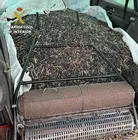 Presentaci&oacute;n2