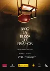cartel_HerreradelaMancha Manzanares