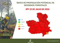IPP 22 DE JULIO DE 2026