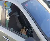 Robo en veh&iacute;culos