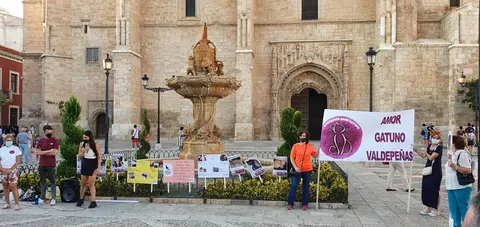 Manifestación en la Plaza de España de Valdepeñas contra el maltrato de gatos