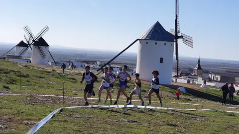 Atletas del Sistemas Valcom Valdepe&ntilde;as Athletics Club haciendo el Cross de Campo de Criptana