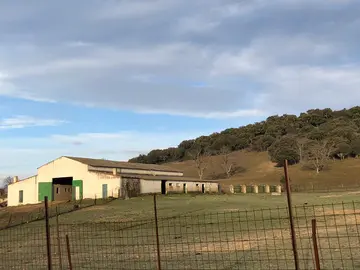 FOTO-SEGURO-EXPLOTACION