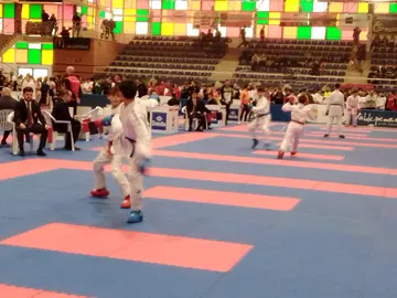 WhatsApp Image 2026-01-17 at 16.57.33