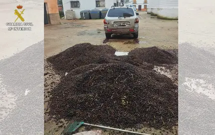 Mercanc&iacute;a sustraida