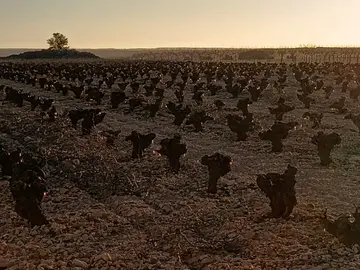 HELADA 30 MARZO  (4)