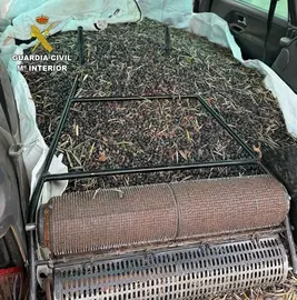 Presentaci&oacute;n2