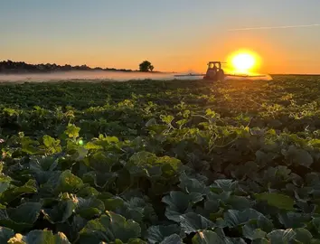 ASAJA CR alerta de las altas temperaturas