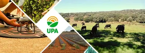 UPA Castilla-La Mancha