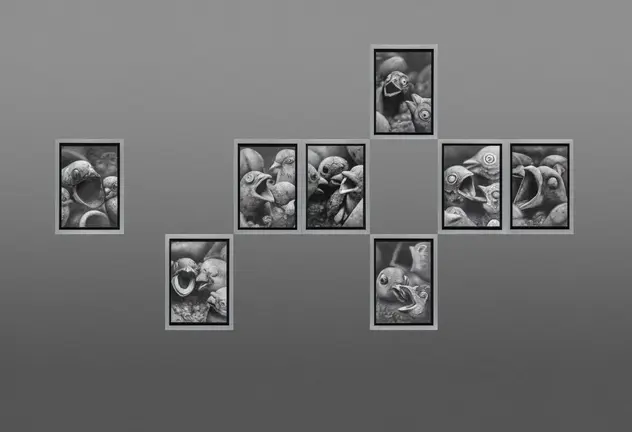 Obra ganadora de la edición de 2025 de Sebastián Bona