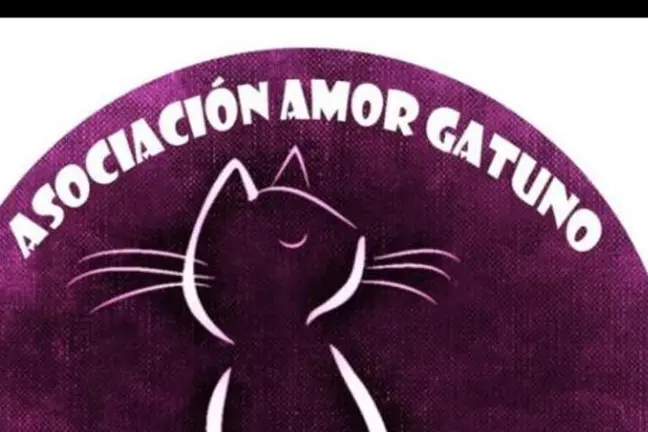 Amor Gatuno