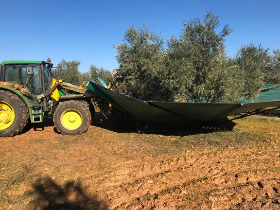 Archivo ASAJA recogida mecanizada de aceituna