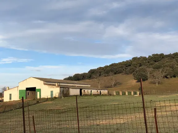 FOTO-SEGURO-EXPLOTACION