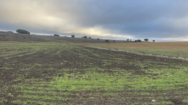 Da&ntilde;os en las explotaciones