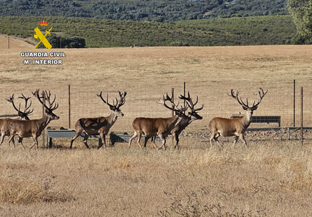 Presentaci&oacute;n1