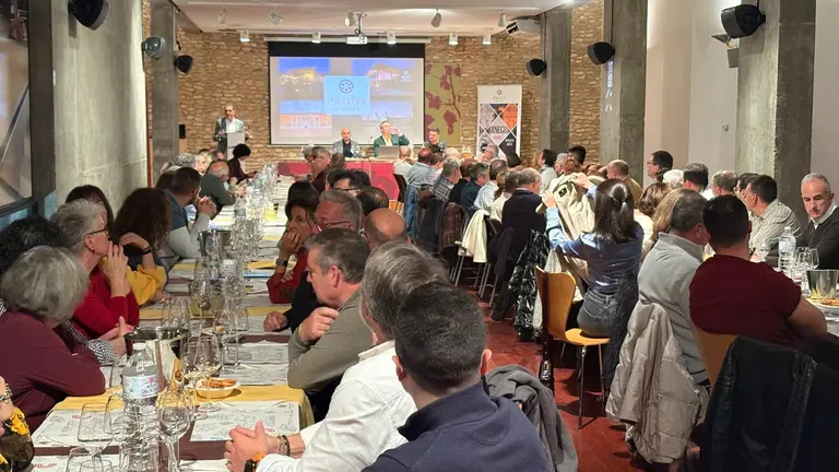 CATA DE FELIX SOLIS AVANTIS CINCO DENOMINACIONES DE ORIGEN (5)