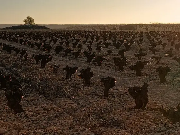 HELADA 30 MARZO  (4)