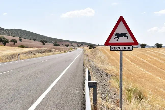 Carretera auton&oacute;mica CM-411