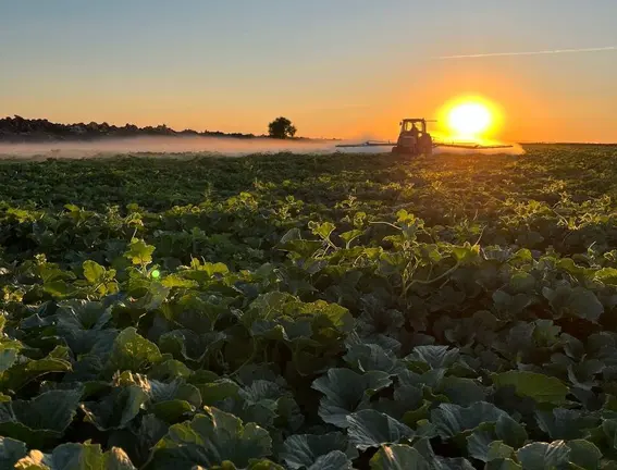 ASAJA CR alerta de las altas temperaturas