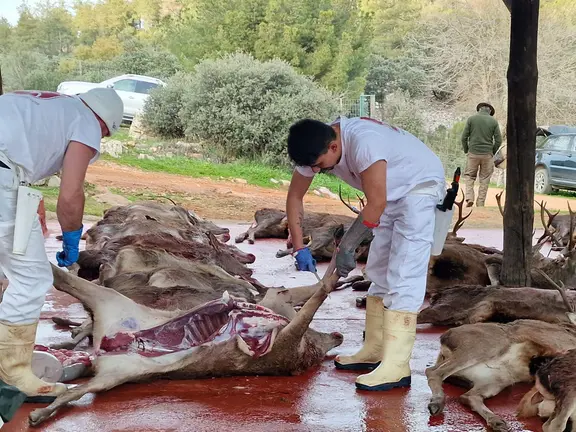ASICCAZA y t&eacute;cnicos de la JCCM se re&uacute;nen con el objetivo de reforzar la calidad sanitaria de la car