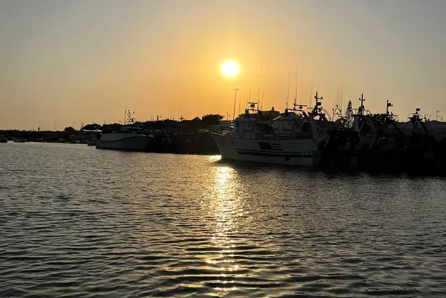 Barcos
