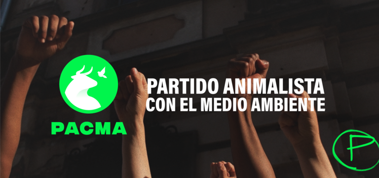 4-Banner-NUEVA-WEB-Febrero-rebranding