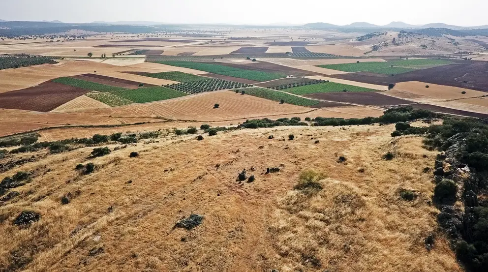 Campo de Montiel