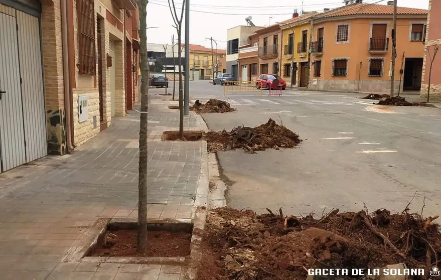 Replantación de árboles en La Solana