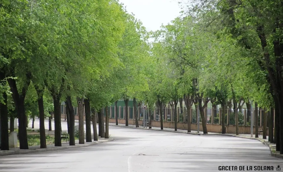 Avenida del Deporte de La Solana