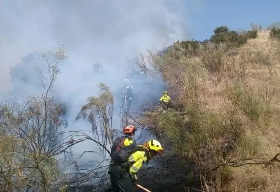 Incendio forestal