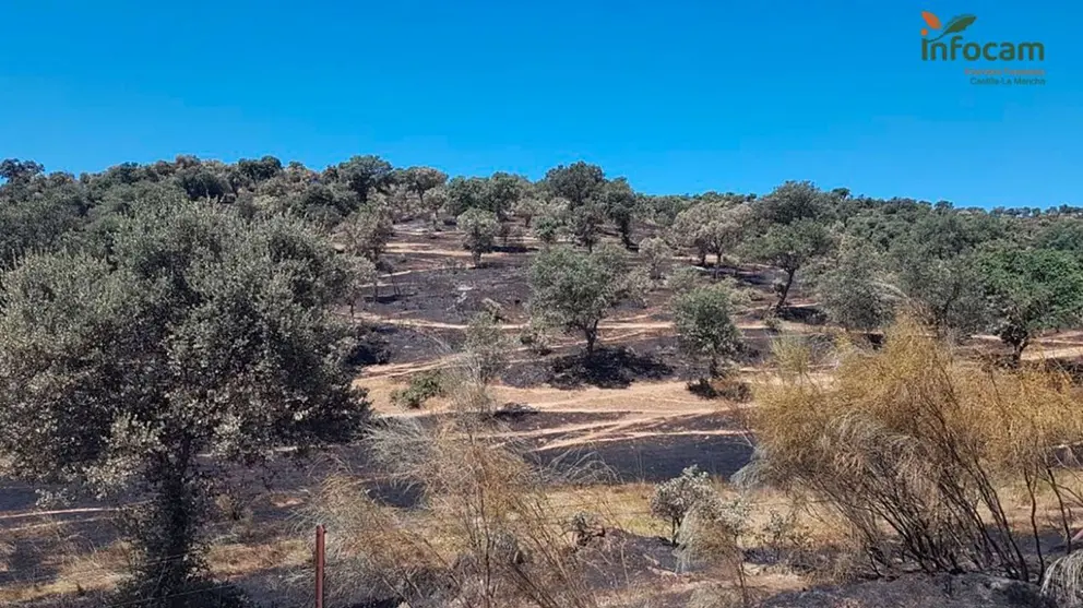 Incendio Forestal en Almadén