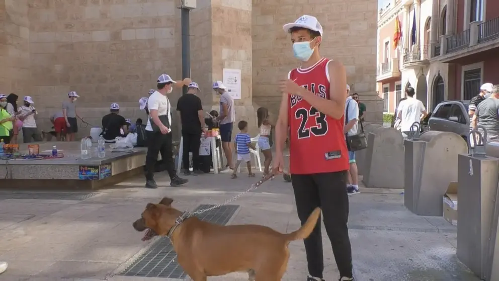 Perros del refugio canino municipal de Valdepeñas